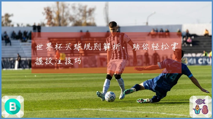 世界杯买球规则解析，助你轻松掌握投注技巧