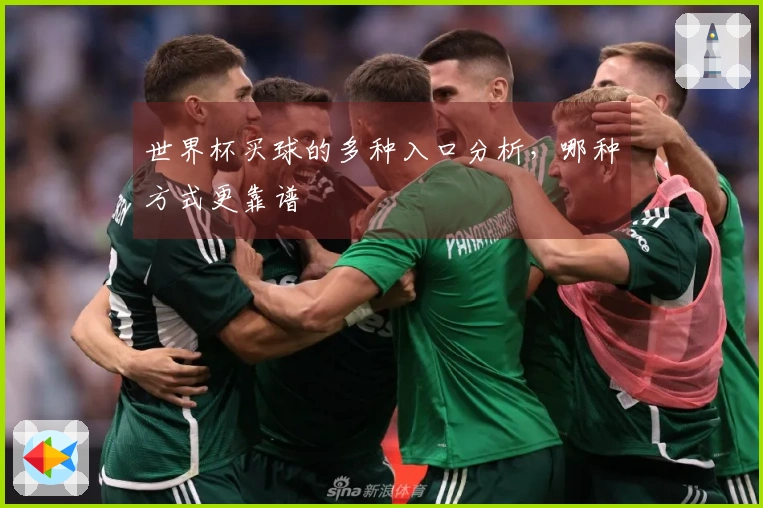 世界杯买球的多种入口分析，哪种方式更靠谱